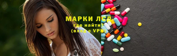 прущие грибы Арсеньев