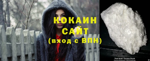соль ск Вяземский